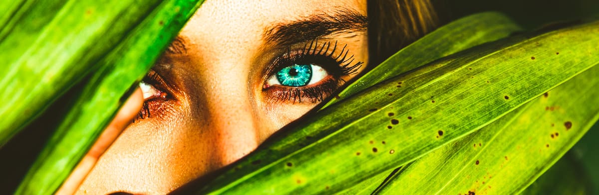 A person’s eyes peeking out between large green leaves